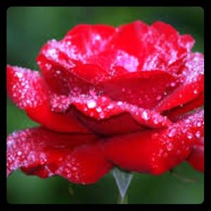 Please make a reasonable offer.